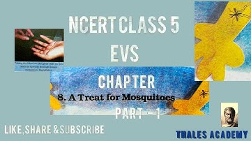 NCERT CLASS 5 | EVS  CHAPTER 8 | A TREAT FOR MOSQUITOES | PART - 1|  THALES ACADEMY NCERT CLASSES.