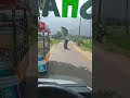 കൊല്ലങ്കോട് (പാലക്കാട്‌) #travel #nature #shorts