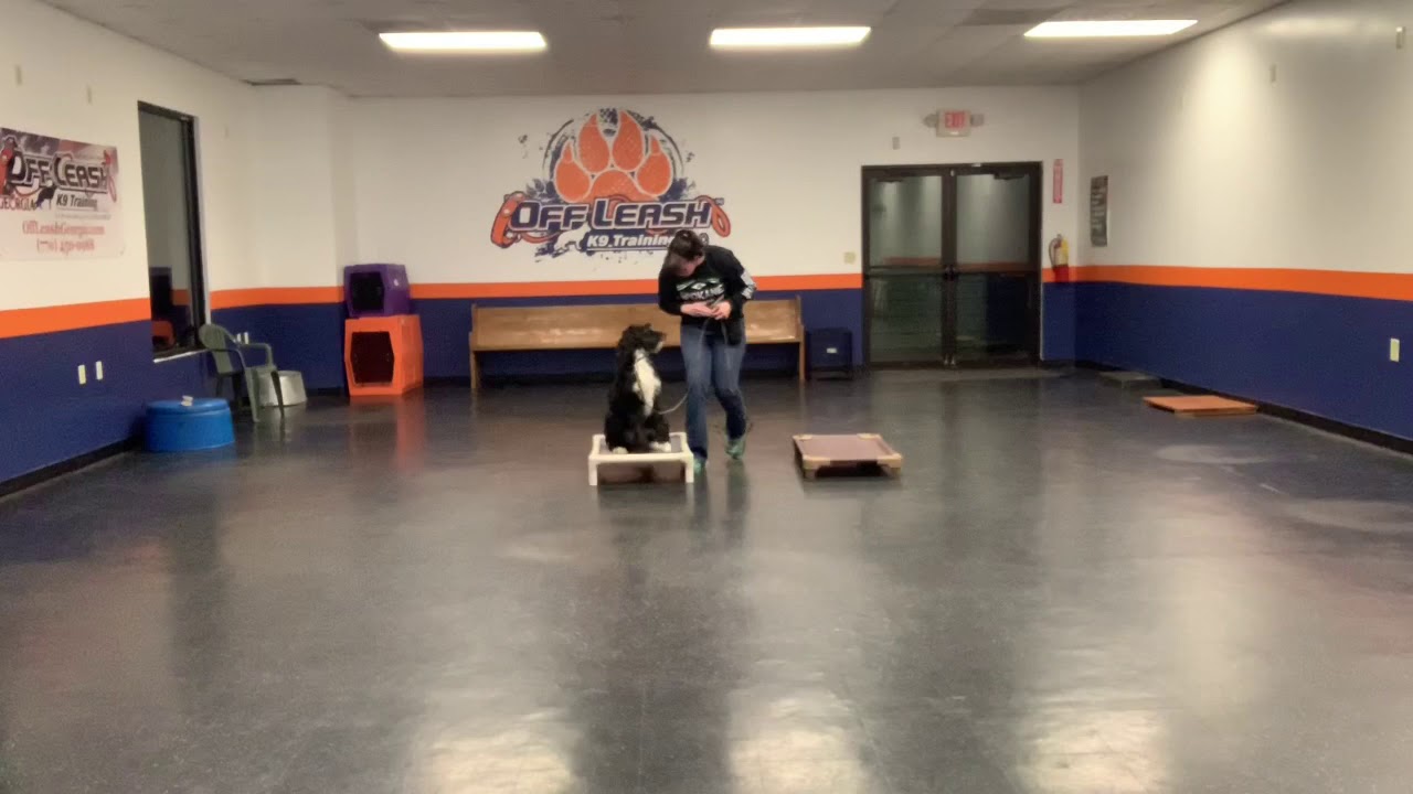 Barnum Training Day 2 YouTube