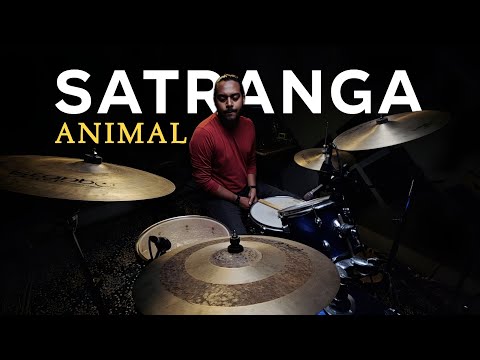 Satranga | Drum Cover | Animal |Arijit Singh | Ranbir Kapoor, Rashmika