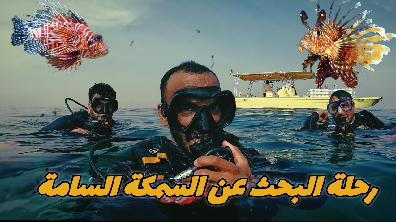 مغامرة و رحلة البحث عن سمكة الديك ( lion fish )