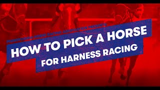 How to Pick a Horse in Harness Racing