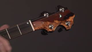 Bishline Midnight Moon Made In Usa 5 String Banjo Gorgeous Banjo