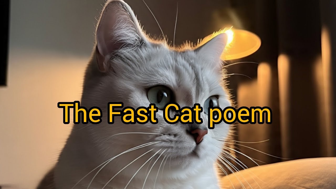 Fast cat poem||Nursery Rhymes|Kids poem - YouTube