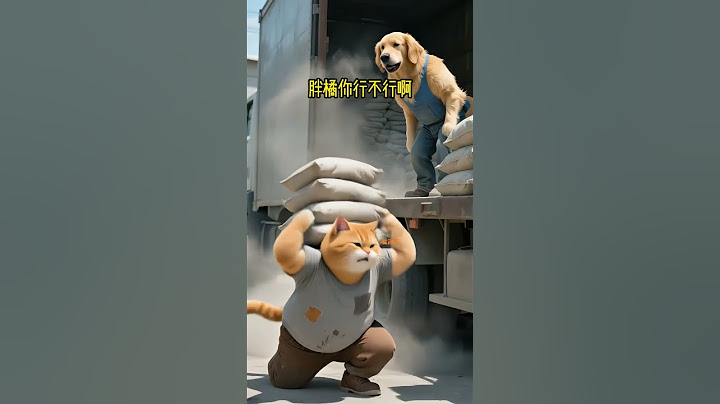 父爱永远拿得出手！胖橘为了挣钱养家受伤，小橘宝无意看见辛苦的父亲，慢慢的懂事了起来，父爱无需多言！#puppy #cute #dog #baby #funny
