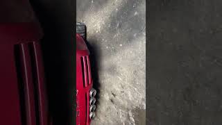 IMG 0333