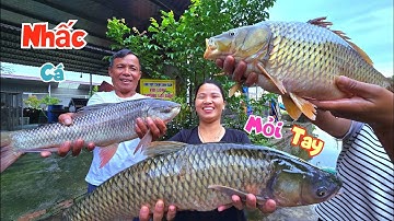 Trúng Tiếp Ổ Cá Khủng Nhấc Mỏi Tay Và Quang Cảnh Hoa..ng Tàn Sau Khi Lũ Rút / Quế Nghịch