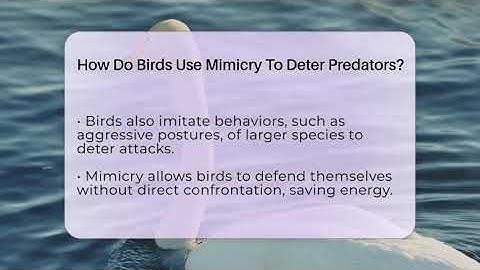 How Do Birds Use Mimicry To Deter Predators? - Bird Watching Diaries