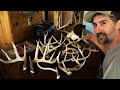 Shed Hunting Pennsylvania Part 3 - MORE SHEDS Found! BEST WHITETAIL BUCK SHED SEASON EVER! 2023 LWO