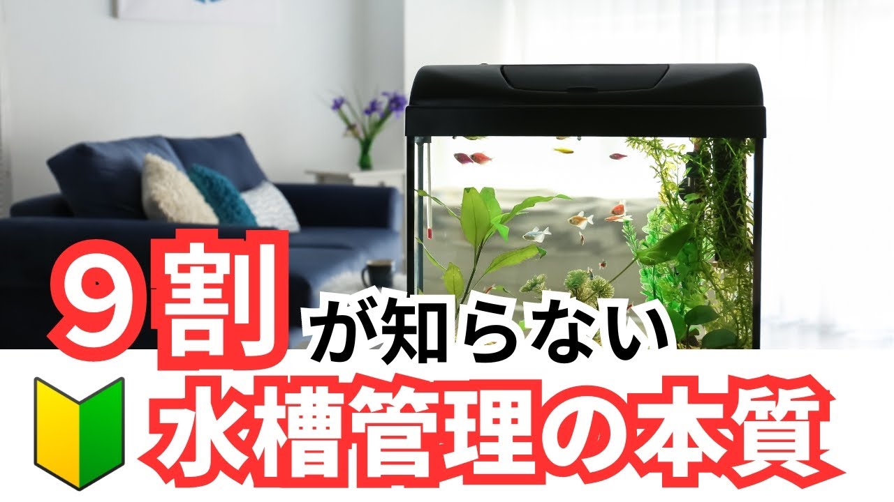 アクアリウム管理の ”本質