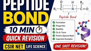 Peptide Bond Complete Revision in 10 Minutes | CSIR NET Life Science Biochemistry
