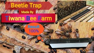 Beetle Trap | Beetle Trap For BeeHive 