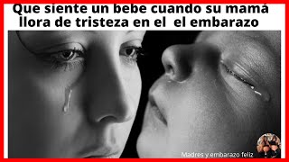 Que Siente Un Bebe Cuando Su Mama Llora En El Embarazo Youtube Que Siente Un Bebe Cuando Su Mama Llora En El Embarazo Youtube