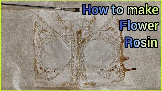 The Friendly Grower - Pressing Rosin