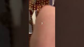 National Lampoon‘s Christmas vacation advent calendar day 10.? What is it?