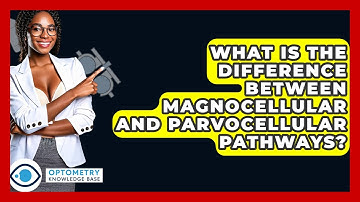 What Is The Difference Between Magnocellular And Parvocellular Pathways? - Optometry Knowledge Base