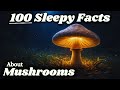 The Most Relaxing Facts About Mushrooms to Fall Asleep To