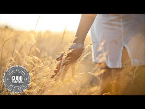 Kyla La Grange - Cut Your Teeth (FlicFlac Remix)