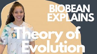BIOBEAN EXPLAINS: Scientific Theories and Evolution