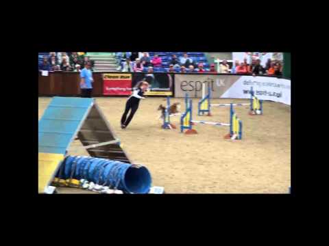 Ultimate Dog Agility - WAO