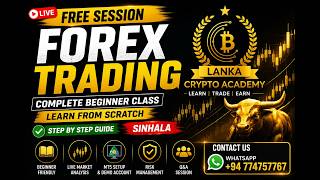 Forex Trading for Beginners 2026 | FREE Forex Trading Class | Sinhala | Lanka Crypto Academy