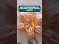 🥰🧶Bordar es mi diario de vida escrito con agujas #tutorial #tips #bordado #crochet