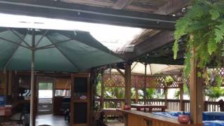 Backyard Oasis, all day happy hour. Friends & Family welcome only.