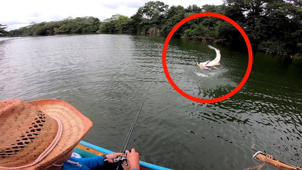 La Mejor Pesca de ROBALOS Enormes con ARPÓN y Caña