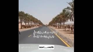 كم شكيت من الدهر —من اروع ماغنى ميحد حمد (حصريًا)