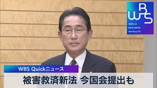 被害救済新法 今国会提出も【WBS】（2022年11月8日）