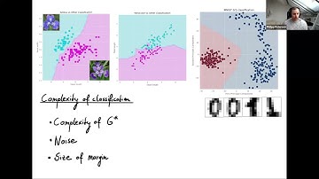 1W-MINDS: Philipp Petersen, December 9, 2021, Optimal learning of classifier functions