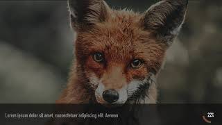 Unity Loading Screens - Simples! Asset store DEMO