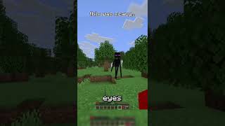 First Time Seeing an Enderman 💀 #minecraft #nostalgia #shorts