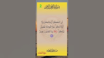 #سورة #الممتحنة #سورة_الممتحنة #صلاح_بوخاطر