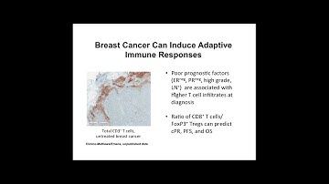 Immunotherapy: Immune Based Therapies, Vaccines, and Current Research