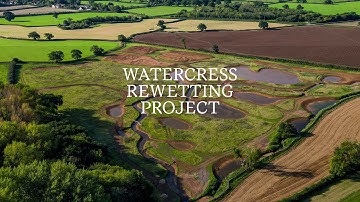 How did we build a wetland in the UK? Delivering nature recovery on an average agricultural holding