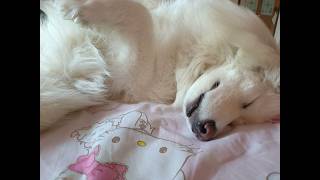 Ran Sky  Happy Valentines Day