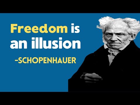 Video: Schopenhauer lub tswv yim: kev yeem siab dawb thiab tsis muaj lub hom phiaj ntawm tib neeg lub neej