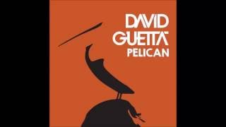 David Guetta - Pelican (Original Mix) [HQ]