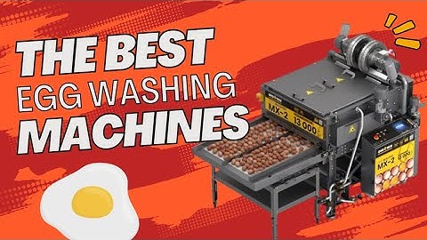 Best Commercial Egg Washing Machines