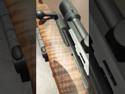 ماوزر 25 بيور رياضة الرماية