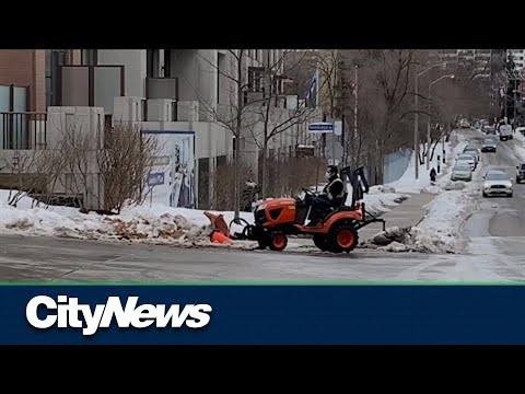 Video: Kaip vaikščioti su savo šunimi