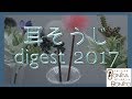 耳掃除ダイジェスト 2017