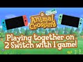 How to share animal crossing new horizons on 2 switch with 1 game copy