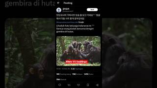 Download Lagu KNetz 🇰🇷 VS SeaBlings 🇮🇩🇲🇾🇹🇭🇵🇭🇻🇳 MP3