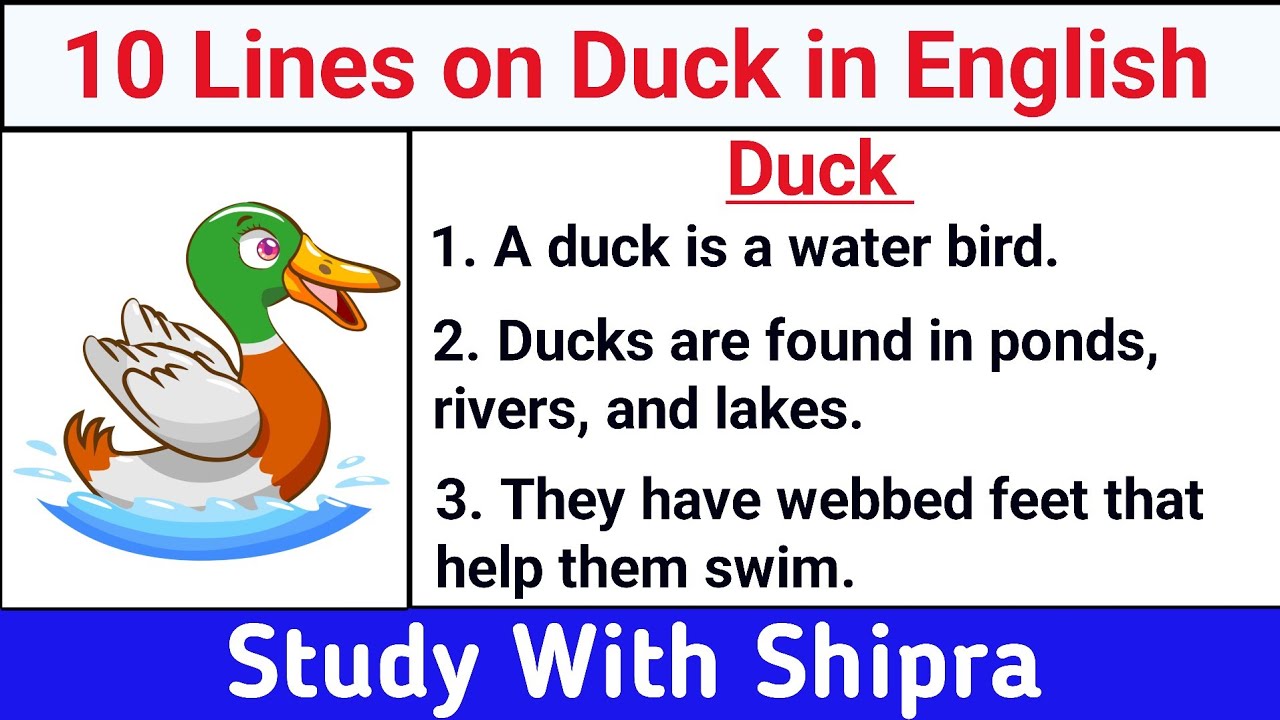 10 Lines Essay on Duck in English | Short Essay about Duck in English | 🦆 🦆