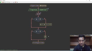 Diagrama - Ingresar dos números y sumarlos en caso que los números sean negativos cambiar su signo