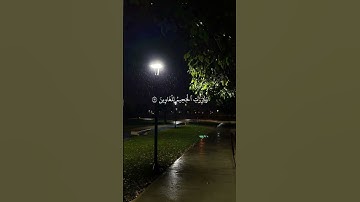 سورة الشعراء ٨٧-٩٣ | القارئ احمد النفيس #قرآن