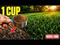 1 Cup of This Kills Every Weed — But Never Touches Your Grass