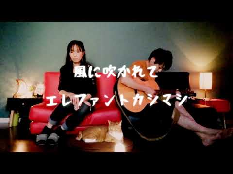 女性が歌う「風に吹かれて」エレファントカシマシ cover by ru:ju